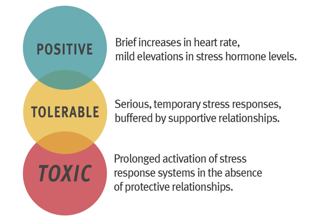 Three-Types-of-Stress.jpg
